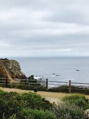 Point Vicente Interpretive Center