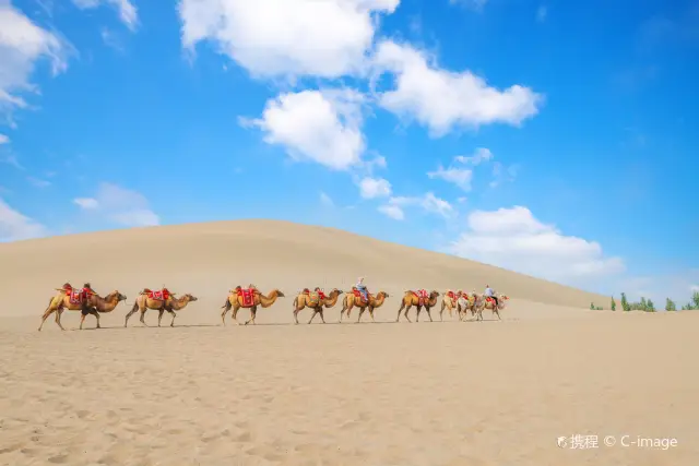 Camel Riding in Zhongwei