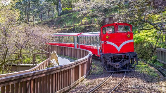 台灣阿里山風景區+觀日小火車+奮起湖老街日遊(二*天一*晚)