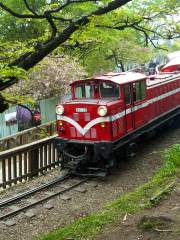 阿里山森林遊楽区