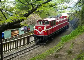 阿里山國家森林遊樂區