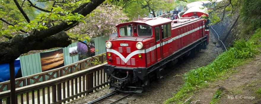 阿里山國家森林遊樂區