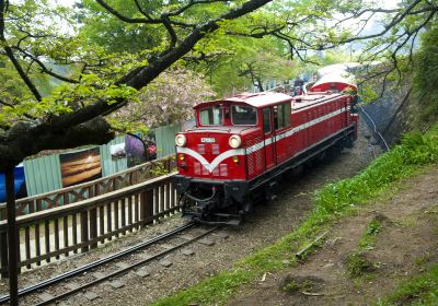 阿里山森林遊楽区