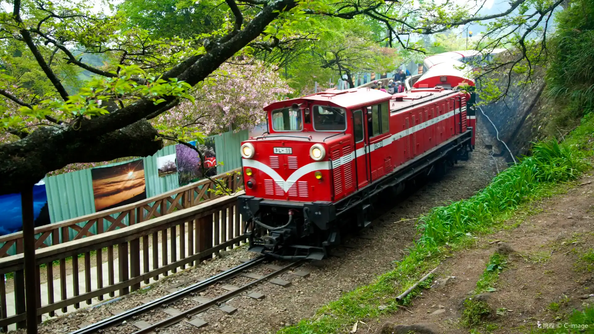 Hotels near Alishan National Forest Recreation Area