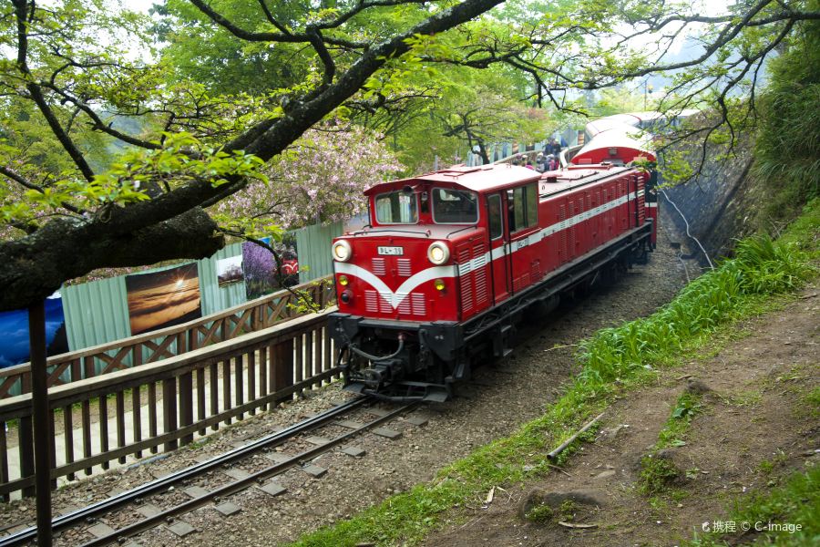 阿里山國家森林遊樂區
