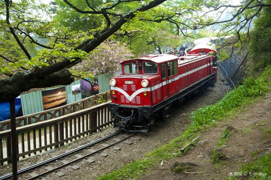 Alishan National Forest Recreation Area
