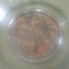 蒸食膳蒸汽海鲜(紫荆街店) User Photo