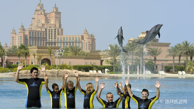 Dolphin Bay at Aquaventure World