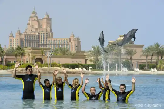 ドルフィンベイ周辺のホテル