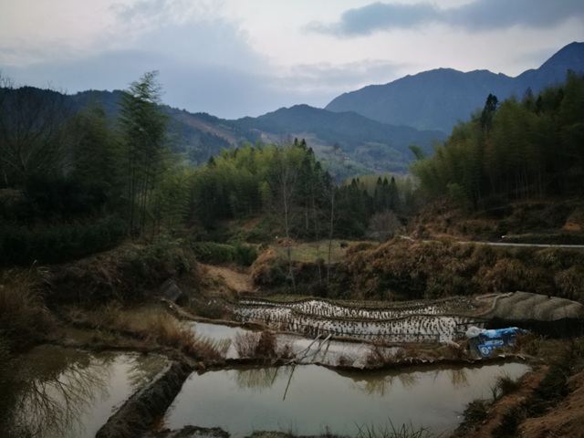 月山村