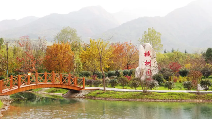 Fall Viewing Attractions