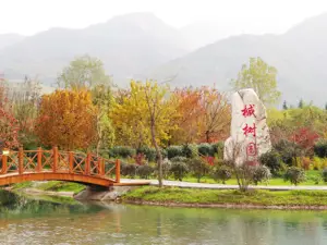 Popular Fall Viewing Attractions in Zhouzhi