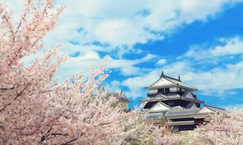 Matsuyama Castle