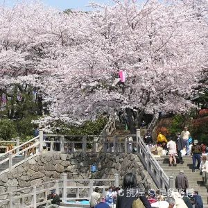 飛鳥山公園