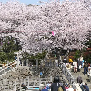 飛鳥山公園