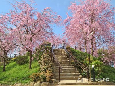 Omiwa Shrine