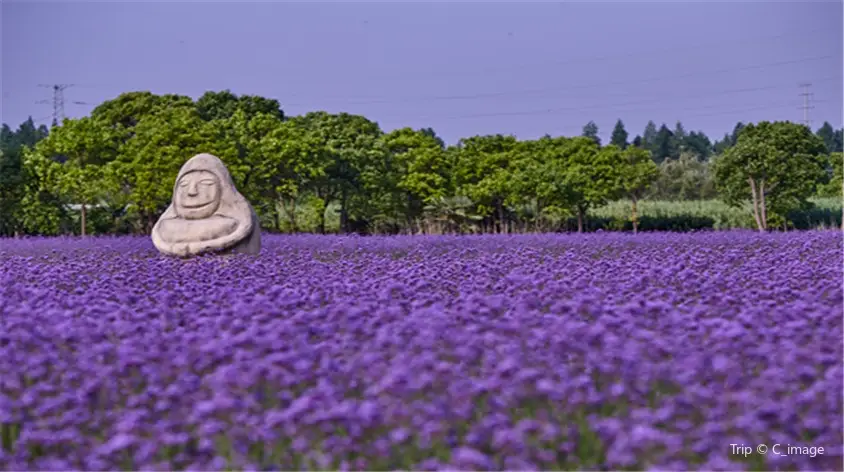 Lavender and Egret Romantic Theme Park