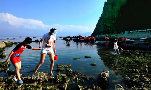 Beachcombing in Yantai