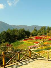 Jiuzhonghualing Scenic Area