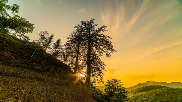 Tangya Tusi Ancient City