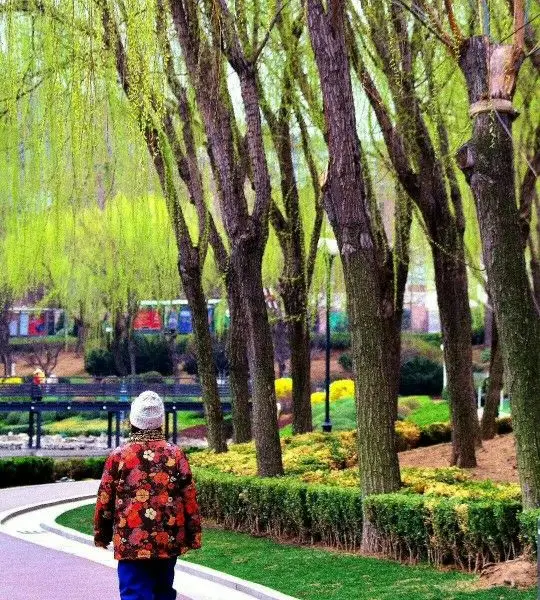 Beihai Park