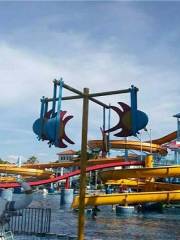 Xinlong Water Amusement Park (dongguanqiaotou)