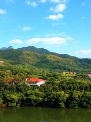 雁南飛茶田景區