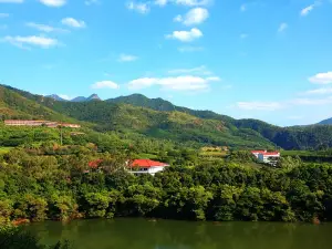 雁南飛茶田景區