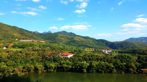 雁南飛茶田景區