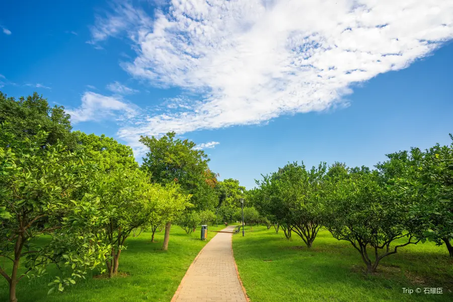 Citrus Cultural Garden