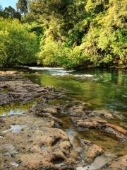 Okere Falls Track