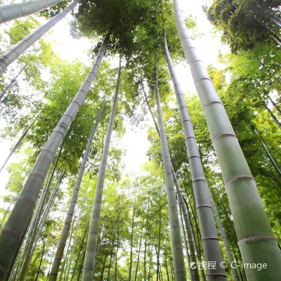 5-звездочные отели в г. Анжи