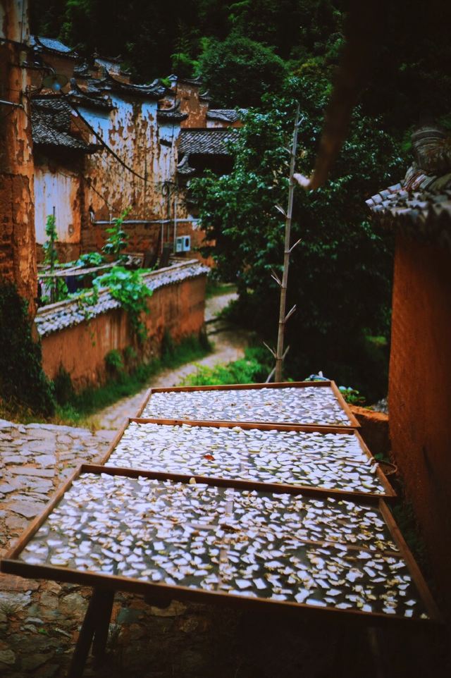 楊家堂村