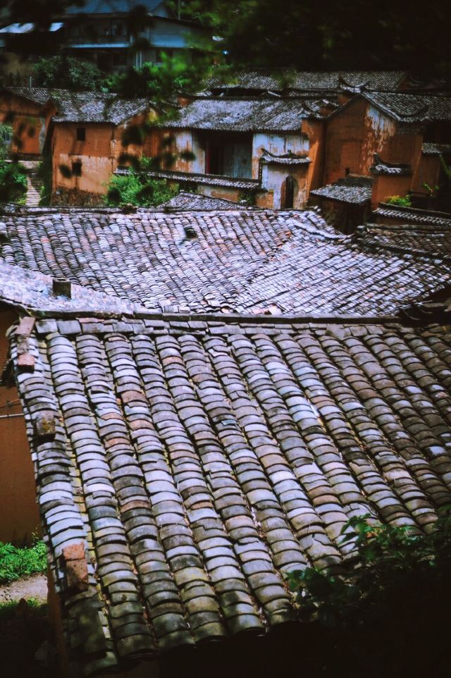 楊家堂村