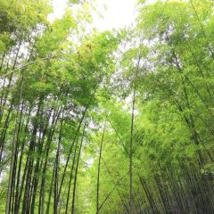 竹仙阁·老字号首席全竹宴 User Photo
