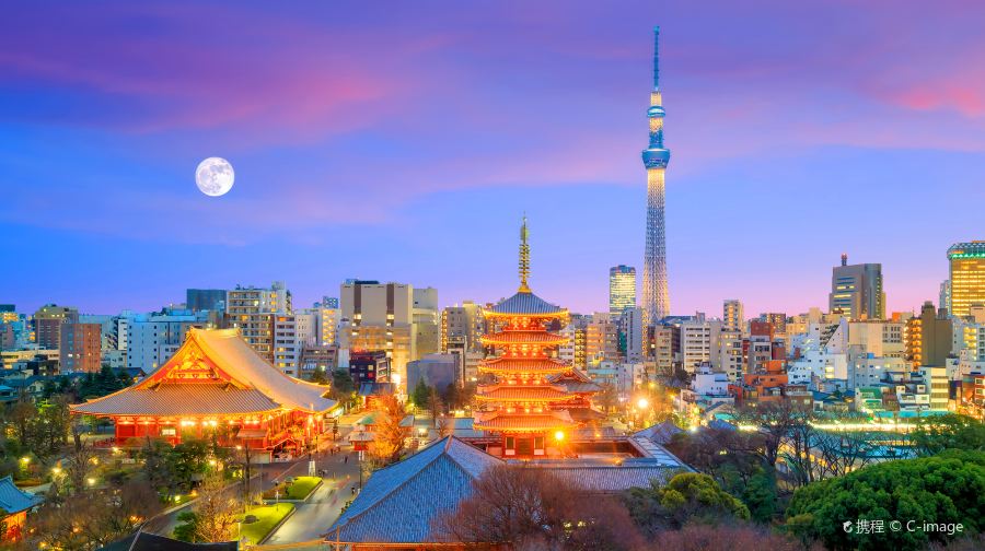 日本東京淺草寺+淺草寺雷門+仲見世商店街+皇居一日遊