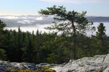 Pielisen Karjala