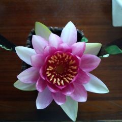 云澜湾·上膳房 User Photo