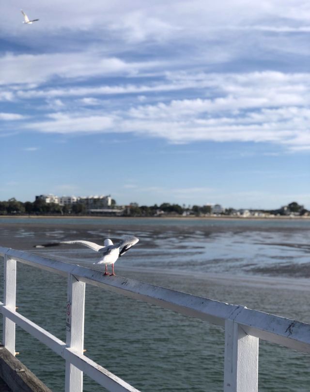 Urangan Pier
