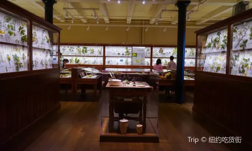 The Harvard Museum of Natural History