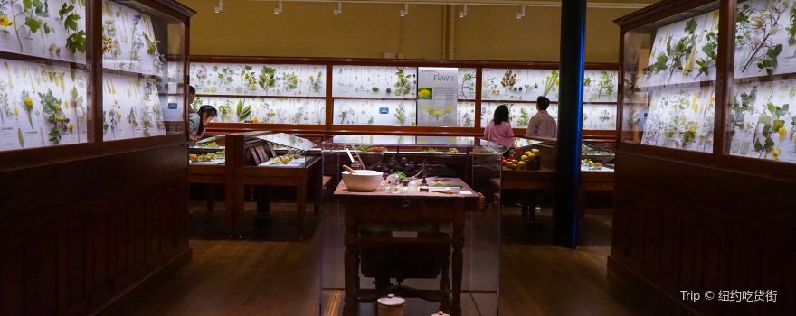 The Harvard Museum of Natural History