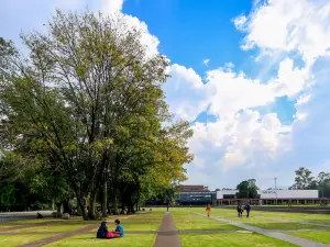 Universidad Nacional Autónoma de México, Ciudad Universitaria