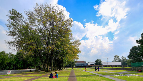 Coyoacan