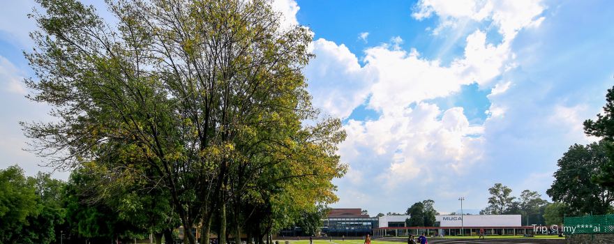 Universidad Nacional Autónoma de México, Ciudad Universitaria