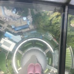 Oriental Pearl Sky Revolving Restaurant User Photo