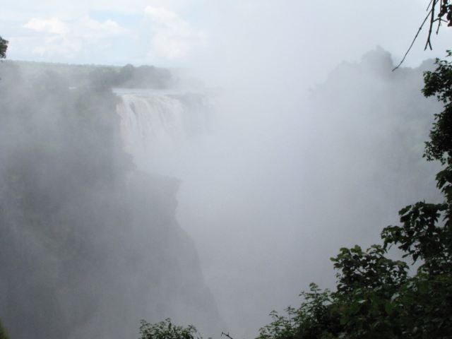 Chirinda Forest Reserve