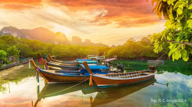 4_เกาะพีพีดอน
