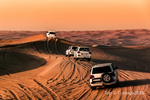 Desert Safari Camp