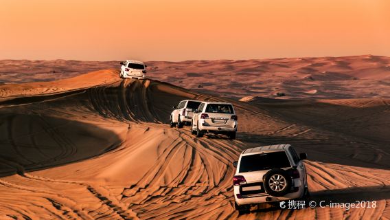 Dubai desert adventure one-day tour|Dune bashing, sandboarding, and camel riding included|Optional sunrise or sunset camp dinner