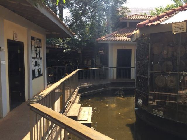 柬埔寨地雷博物館景點 暹粒旅遊評論 旅行指南 Trip Com 柬埔寨地雷博物館景點 暹粒旅遊評論 旅行指南 Trip Com